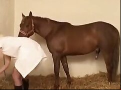 Animal porn and zoo sex tube
