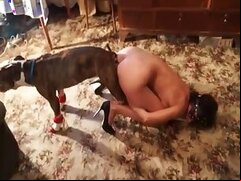 Stallion bestiality xxx