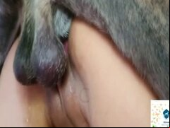 Zoo Porn Co